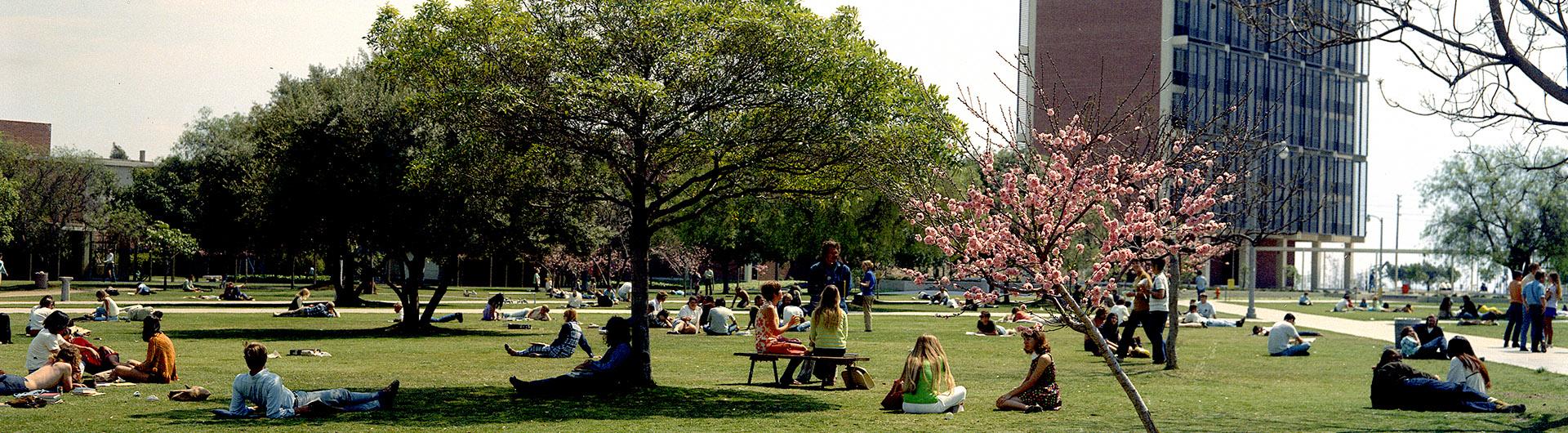 1970's campus, students studying outdoors