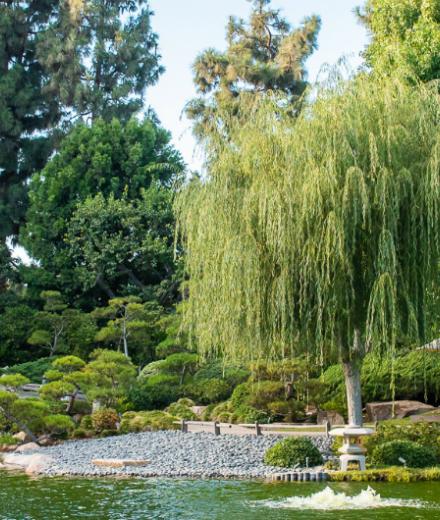 A late afternoon snapshot of the Garden