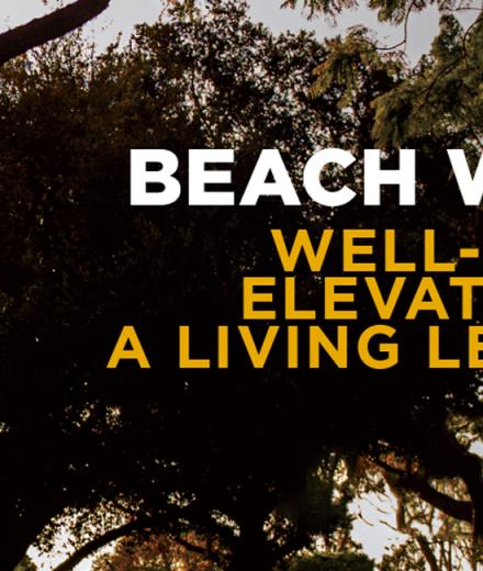 beach well brochure