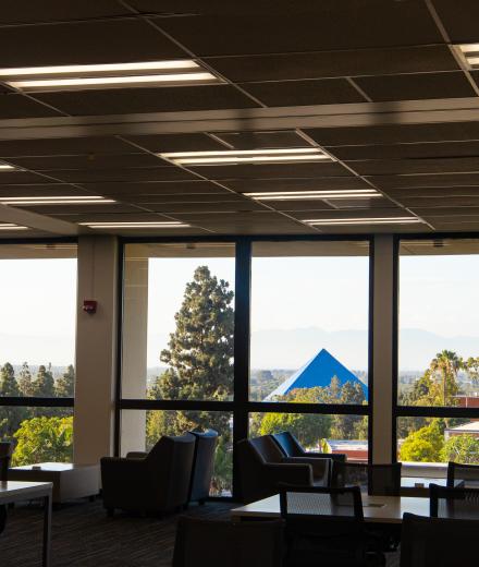 View from the University Library