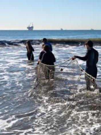 students on the shore pulling in a net
