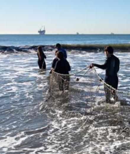 students on the shore pulling in a net