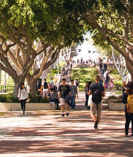 Students walking on the CSULB campus