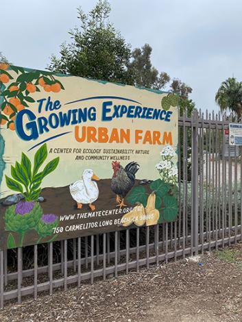 The Growing Experience Urban Farm