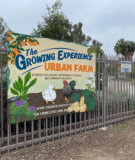 The Growing Experience Urban Farm