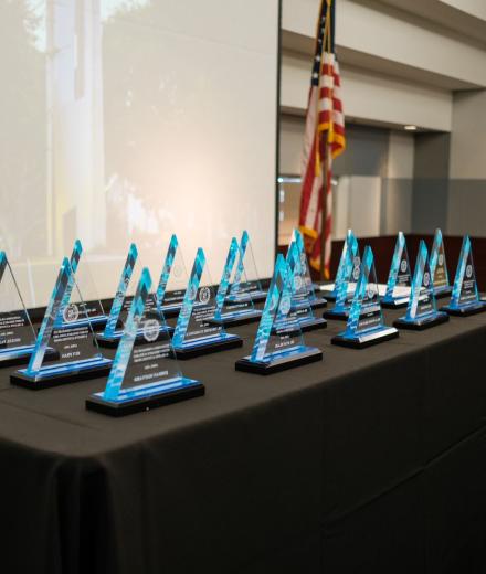 University Achievement Awards
