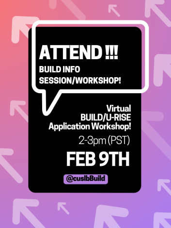 Attend a BUILD Info Session Workshop! - Thumbnail