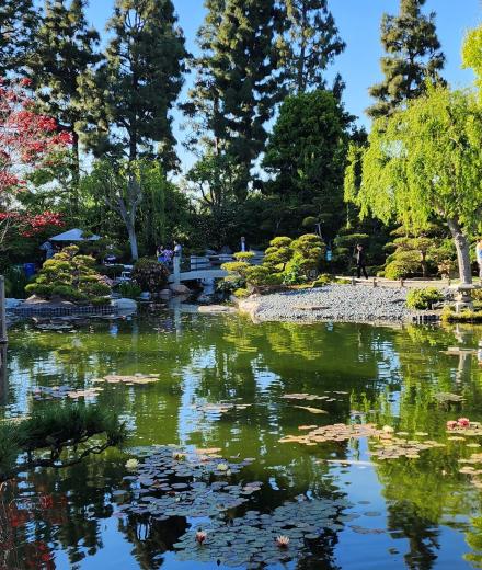 photos of Japanese Garden