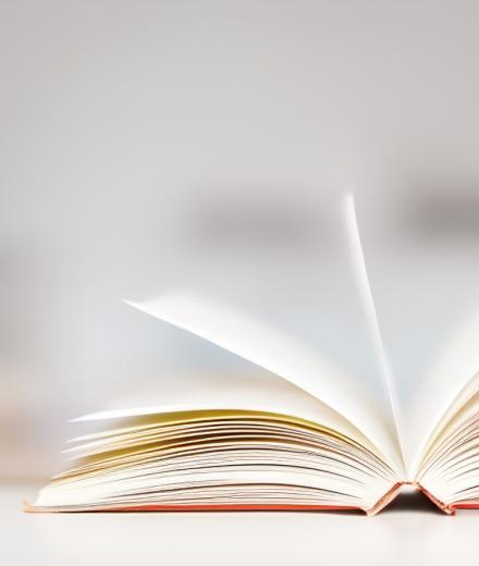 Faculty Publications
