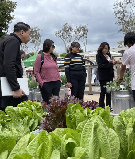 Sustainability Champions visit Grow Beach