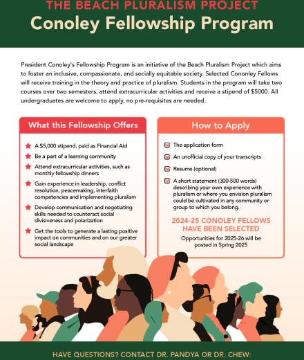 Project pluralism flyer