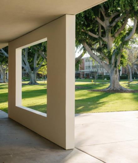 Window Wall by Robert Irwin