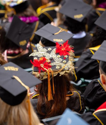 graduation caps