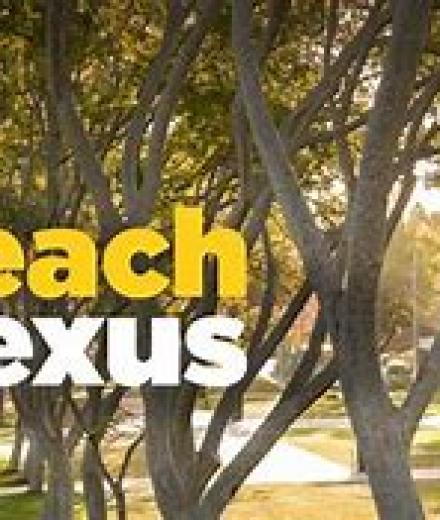 Beach Nexus