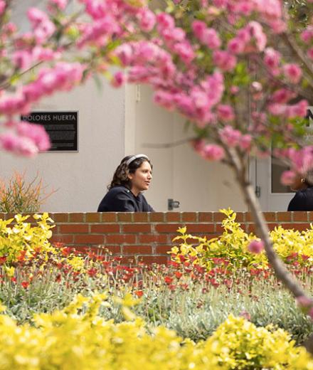 campus flowers