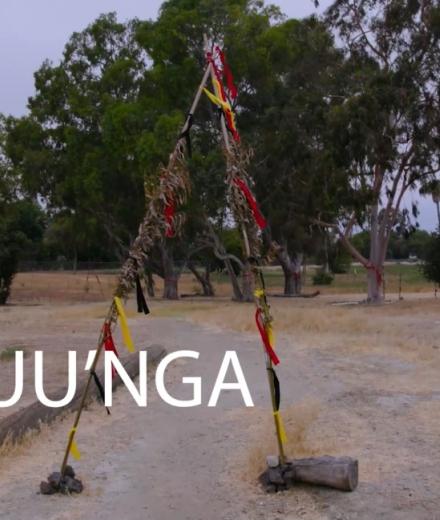 Puvuu'nga Informational Video