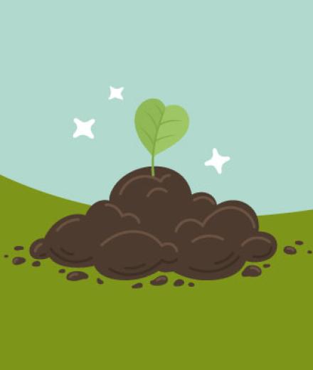 graphic of a sprout growing from soil