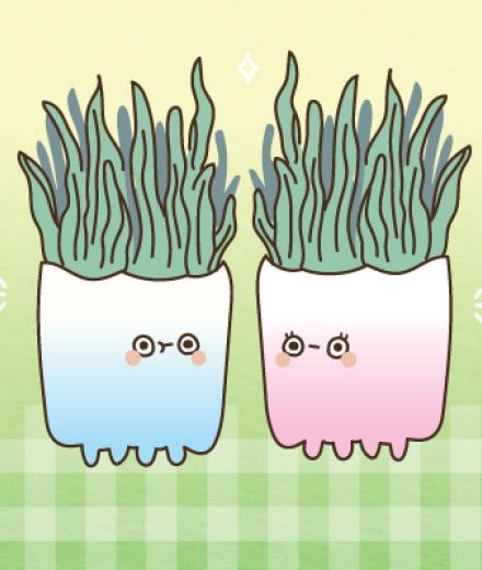 A blue and a green pot filled with plants