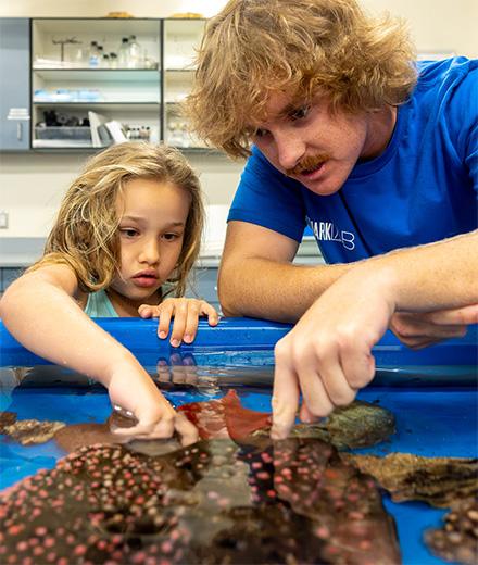 young child touching starfish as Shark Lab volunteer guides observation