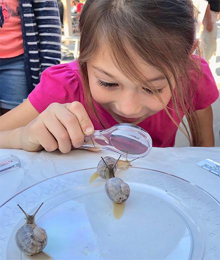 young child using a magnifying glass to examine a snail