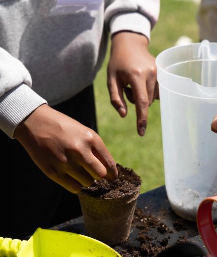 Harvesting Healthy Habits kids planting seeds