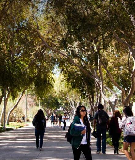 Banner Walk CSULB