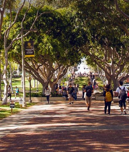 Friendship Walk at CSULB Campus