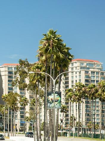 City of Long Beach buildings
