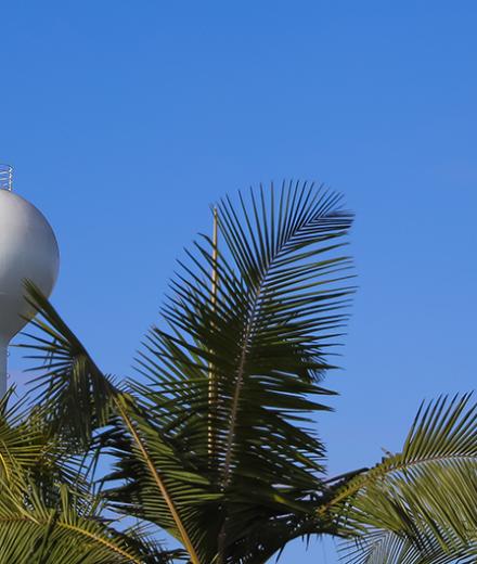 Banner PHOTO of campus includes LB Water tower and trees