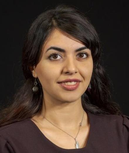 Dr. Ava Hedayatipour 