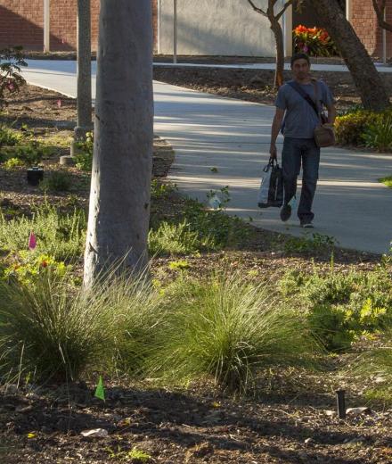Student Walking along Walkway