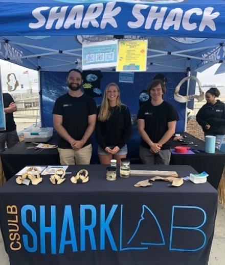 Image: shark-shack_0.jpg