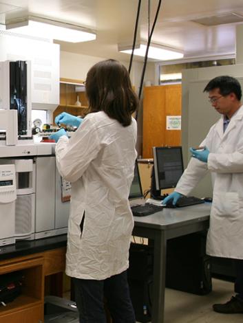 IIRMES staff in the lab