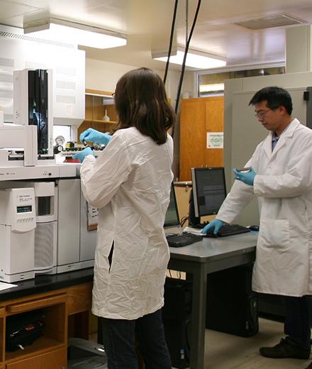 IIRMES staff in the lab