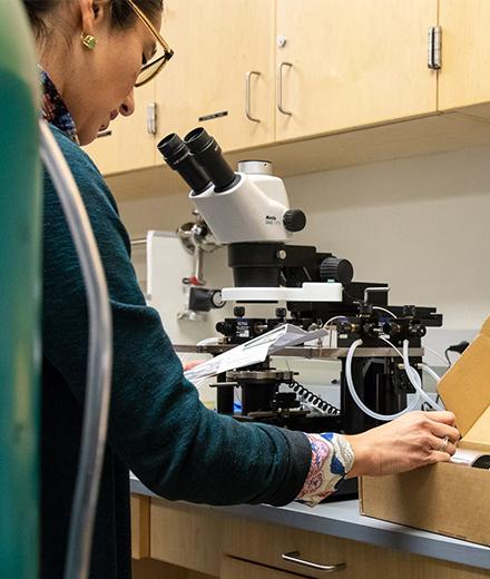 physics professor using an instrument in the lab