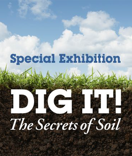 Special Exhibition - Dig It! The Secrets of Soil