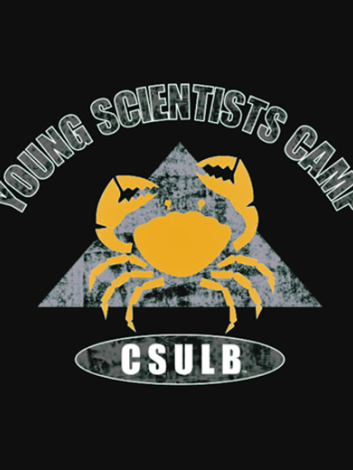 Young Scientists' Camp - C S U L B