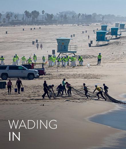 CSULB students pull nets of fish in from shore 