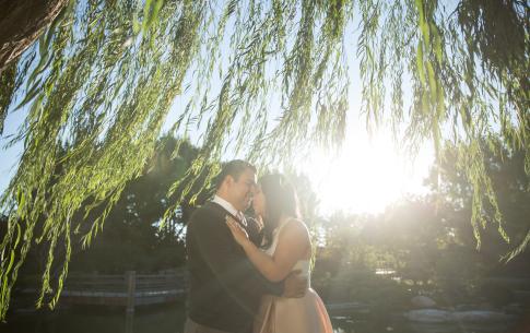 A couple stands beneath the leaves of a willow, embracing.