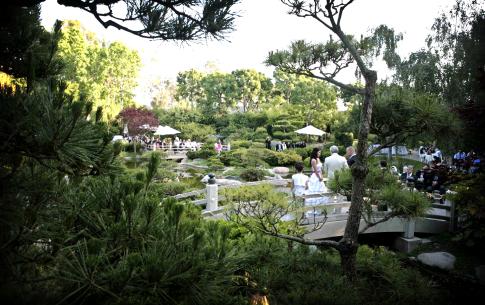 Wide-shot of the Earl Burns Miller Japanese Garden from behind the wedding party during a ceremony.