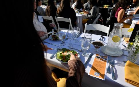 Close up of dinner service with salad