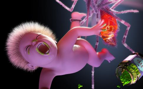 Beomsik Shim sample work - “Mosquito”, The main album art and music video of Yeah Yeah Yeahs.