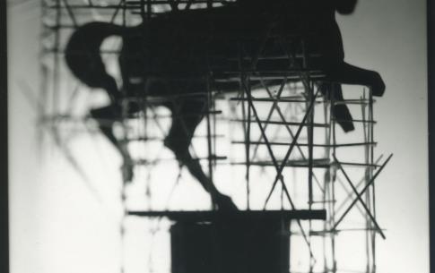 Horse_1—Silver Gelatin print from the series Scaffolding