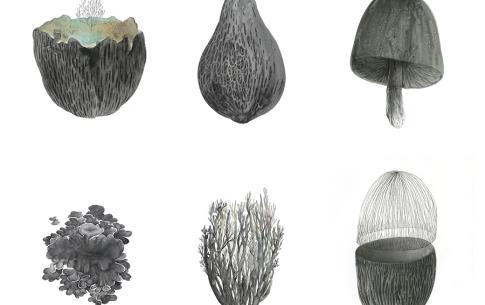 Image 02 - Sample Work by Yevgeniya Mikhailik