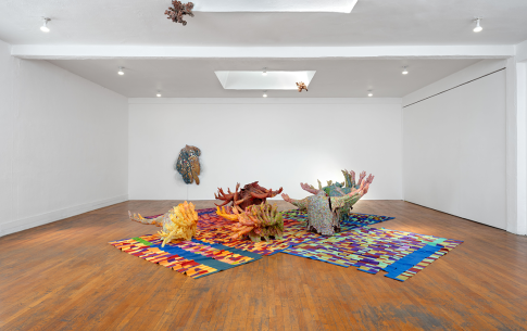 Synapse, installation view