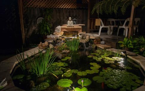 Back yard pond at night