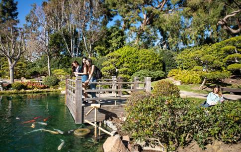 japanese garden