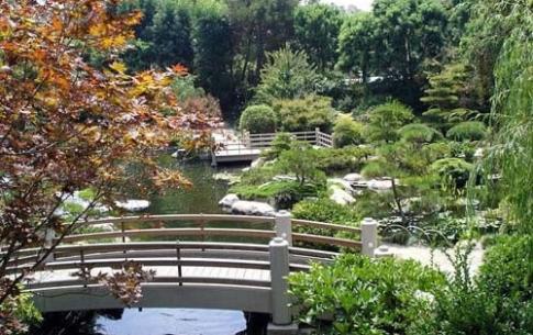 Japanese Garden