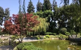 Japanese Garden