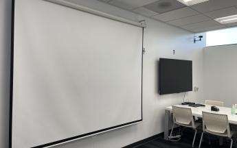 projector screen